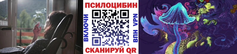 ссылка на мегу зеркало  Йошкар-Ола  Псилоцибиновые грибы Magic Shrooms  цены наркотик 